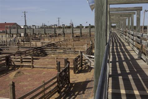 View of the Fort Worth Stockyards, Fort Worth, Texas Stock Image ...