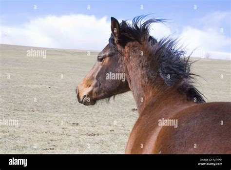 Into the wind Stock Photo - Alamy