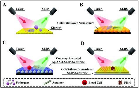 An In Situ Raman Spectroscopy Based Microfluidic Lab - vrogue.co