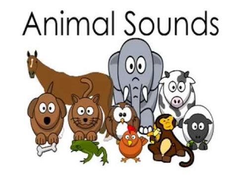 Animal Sounds Names for Kids Children Kindergarten Preschoolers Toddlers Animals Sound Effects ...