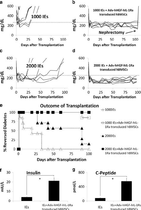 Outcome of islet transplantation after being cotransplanted with... | Download Scientific Diagram