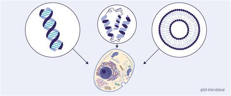 Developing Artificial Life from Scratch - Labtag Blog