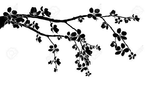 Free Black And White Sakura, Download Free Black And White Sakura png ...