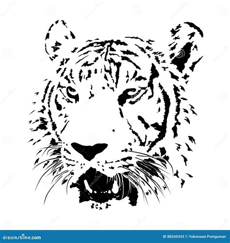 Tigre De Bengala Blanco Y Negro, Vector Animal Aislado De La Cara Ilustración del Vector ...