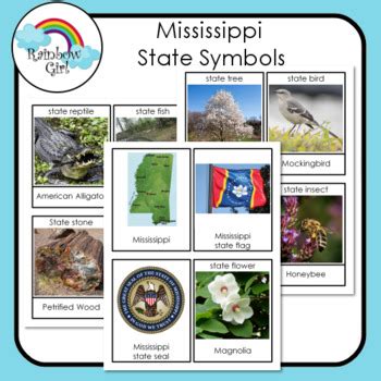 Mississippi State Symbols by Rainbow Girl | TPT