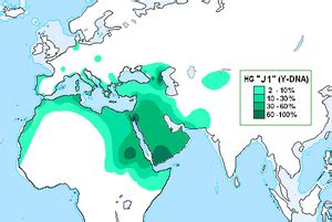 Y Haplogroup J