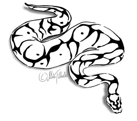 Free Python Cliparts, Download Free Python Cliparts png images, Free ClipArts on Clipart Library