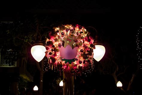 "it's a small world" holiday | Lovely Christmas wreaths outs… | Flickr