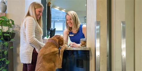 Best pet-friendly hotels in the US (Updated October 2020) - Business ...