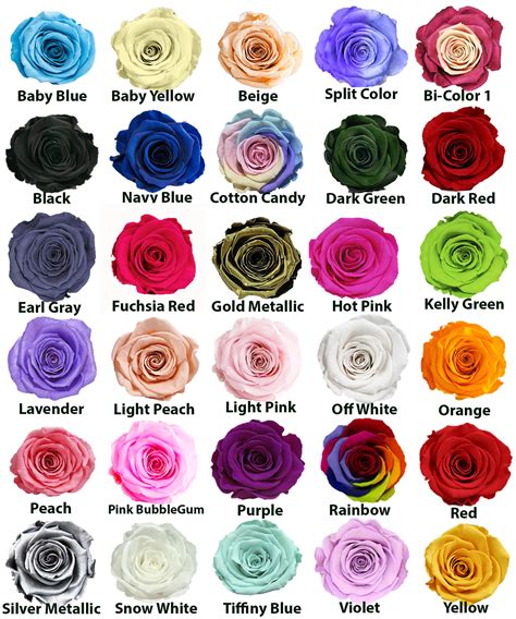 Rose Types And Colors