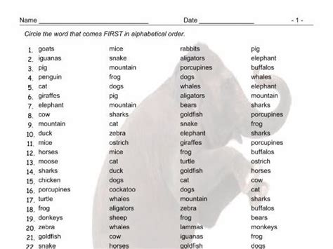 Animals Alphabetical Order Worksheet | Teaching Resources