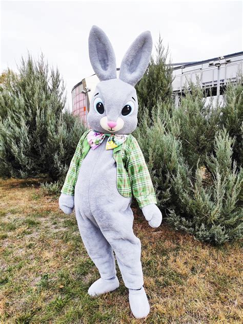 Easter Bunny Mascot Costume Adult Mascot Costume Party - Etsy