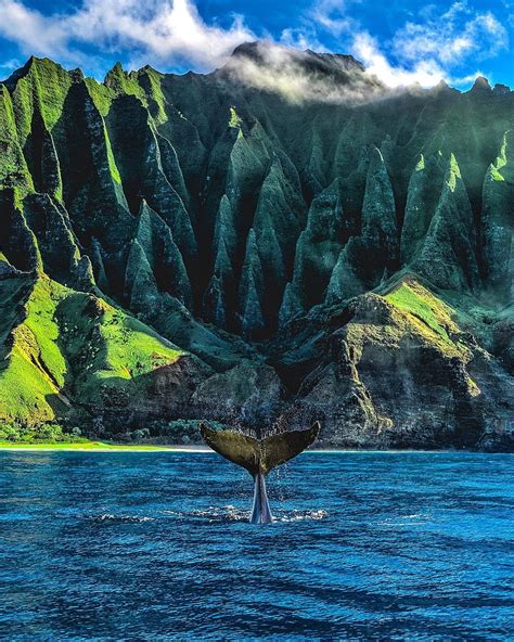 Nature, landscape, mountains, Hawaii, national park, whale, animals, portrait display, HD phone ...