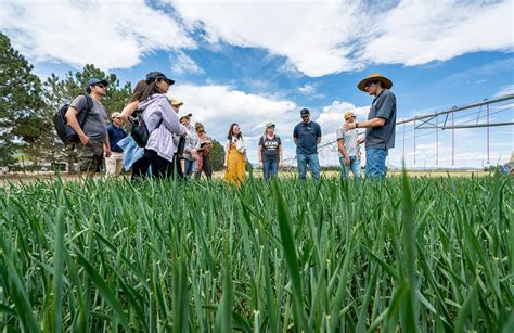 Agriculture at CSU - College of Agricultural Sciences