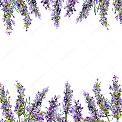 Lavender flowers. Watercolor frame — Stock Photo © zzzorikk #150409874