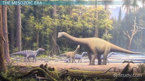 The Mesozoic Era: Facts, Events & Timeline - Video & Lesson Transcript ...