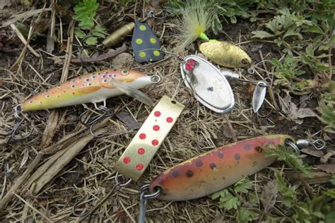 10 Best Baits for Rainbow Trout – Tilt Fishing