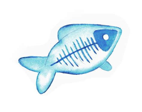 Royalty Free X Ray Fish Clip Art, Vector Images & Illustrations - iStock