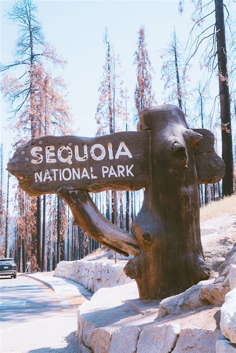 Best Hikes in Sequoia National Park - 19 Fun Hiking Trails + Tips - The Wandering Queen