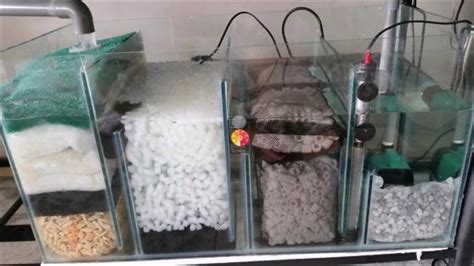 Pin by Anton Roets on tank filter systems | Aquarium sump, Diy aquarium ...