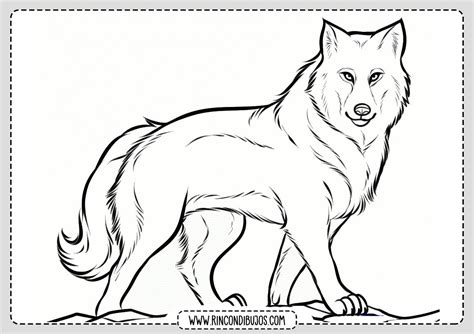 dibujos de lobos animados para colorear - Búsqueda de Google | Wolf ...