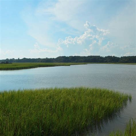 RUSSELL BURGESS COASTAL PRESERVE (North Myrtle Beach) - All You Need to Know BEFORE You Go