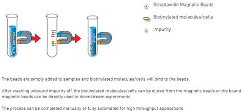 Streptavidin Magnetic Beads - Advanced BioChemicals