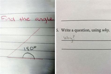 50 Of The Sassiest And Funniest Test Answers (New Pics) | Bored Panda