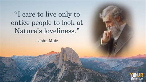 15 John Muir Quotes That Are Deeply Inspirational | YourDictionary