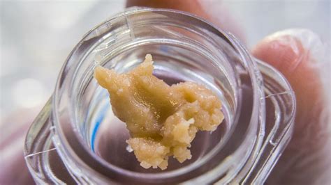 Live Rosin vs Live Resin | Differences in Extraction Explained