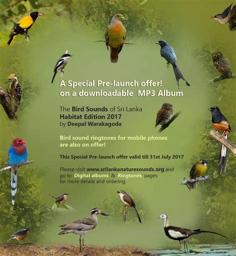 New MP3 digital album of Sri Lanka Bird Sounds | Sri Lanka Nature Sounds