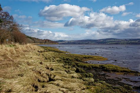 Shore of the Beauly Firth © Julian Paren :: Geograph Britain and Ireland