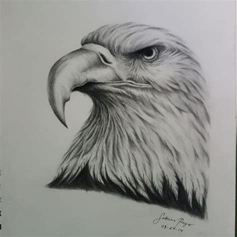 Animal Drawings Realistic at PaintingValley.com | Explore collection of ...