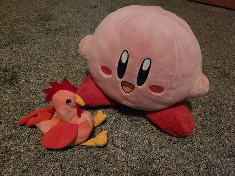 Poyo and Pollo : r/Kirby