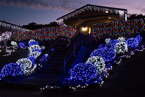 VIPs get first look at BLORA’s annual Nature in lights | Living ...