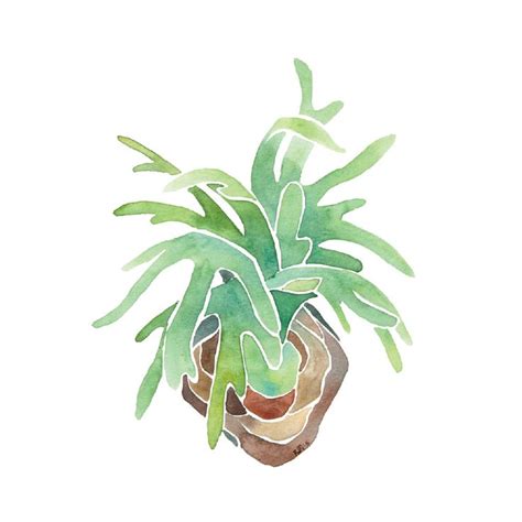 Staghorn Fern 4x6 8x10 Print - Archival Quality Watercolor Giclee - Bright Watercolor Elkhorn ...