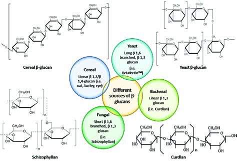 Structure and branching degree of beta-glucan from different sources. | Download Scientific Diagram