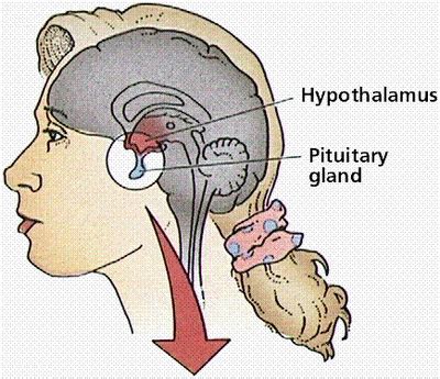 Dissociative Identity Disorder: What is it? - Did Sybil Have ...