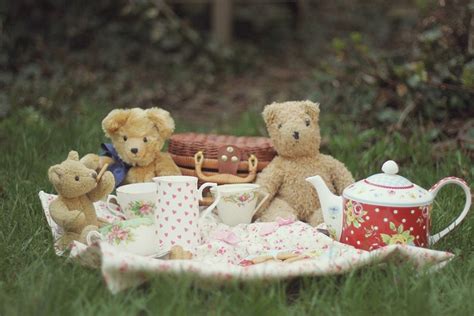 teddy bear tea party/picnic! | Tender Teddy's | Pinterest