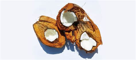 How to make cold-pressed coconut oil | Coconut Queendom