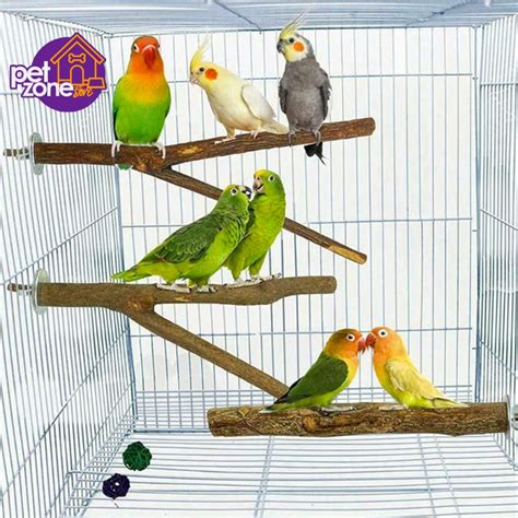 Bird Supplies - Pet Zone Store