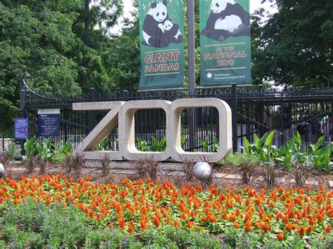 Visiting the National Zoo in Washington, D.C.