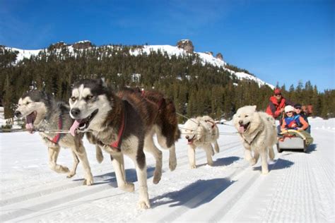 7 Hottest (and Coolest) Winter Activities in Alaska - Westmark Hotels