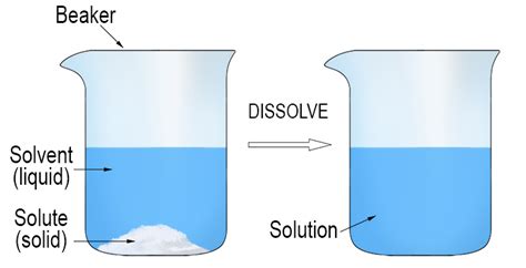 Dissolving Introduction - Mammoth Memory definition - remember meaning