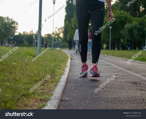 411 Zemun park Images, Stock Photos & Vectors | Shutterstock