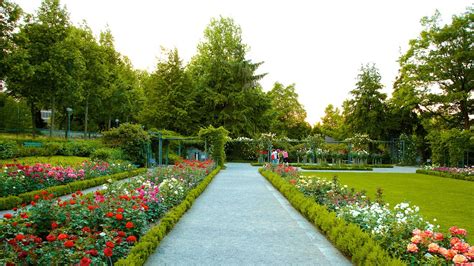 Bern Rose Garden in Bern, | Expedia