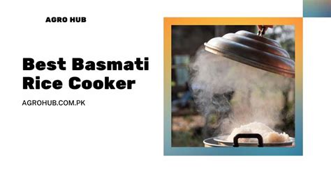 Best Basmati Rice Cooker - Agro Hub