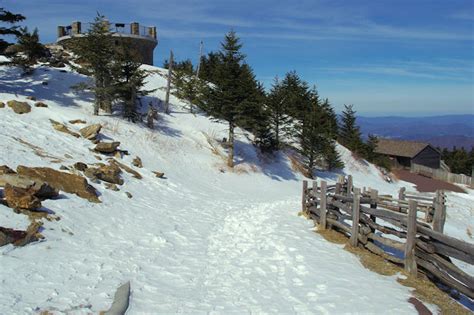 Mt. Mitchell Hike on Balsam Trail