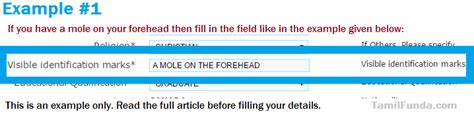 What is "Visible identification marks" on Indian Visa form? [Guide]