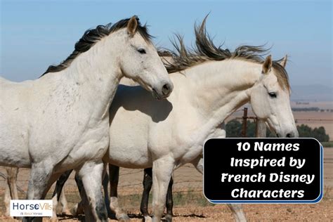 350 Beautiful French Horse Names for Mares and Stallions